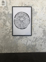 Black and white framed print of a Douglas Fir tree cross-section showing detailed growth rings and a central crack, hanging on a textured neutral-toned wall.