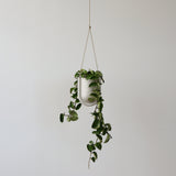 White, semi-cylindrical ceramic planter suspended by two thin cords, with green trailing plant cascading downward against a plain white background.