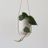 White speckled ceramic hanging planter with a rounded U shape holding a green trailing plant with heart-shaped leaves against a plain light background