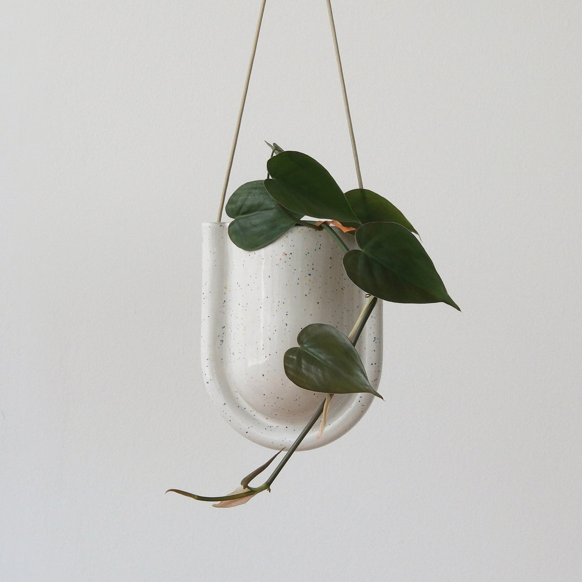White speckled ceramic hanging planter with a rounded U shape holding a green trailing plant with heart-shaped leaves against a plain light background