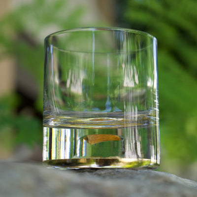Set of two 8.5oz clear crystal tumblers each containing a fossilized Spinosaurus tooth with polished brass finish