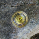 Top view of a translucent yellow resin tumbler containing a dinosaur tooth embedded at the center, set against a textured gray stone surface.