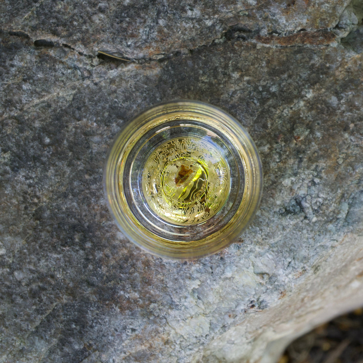 Top view of a translucent yellow resin tumbler containing a dinosaur tooth embedded at the center, set against a textured gray stone surface.