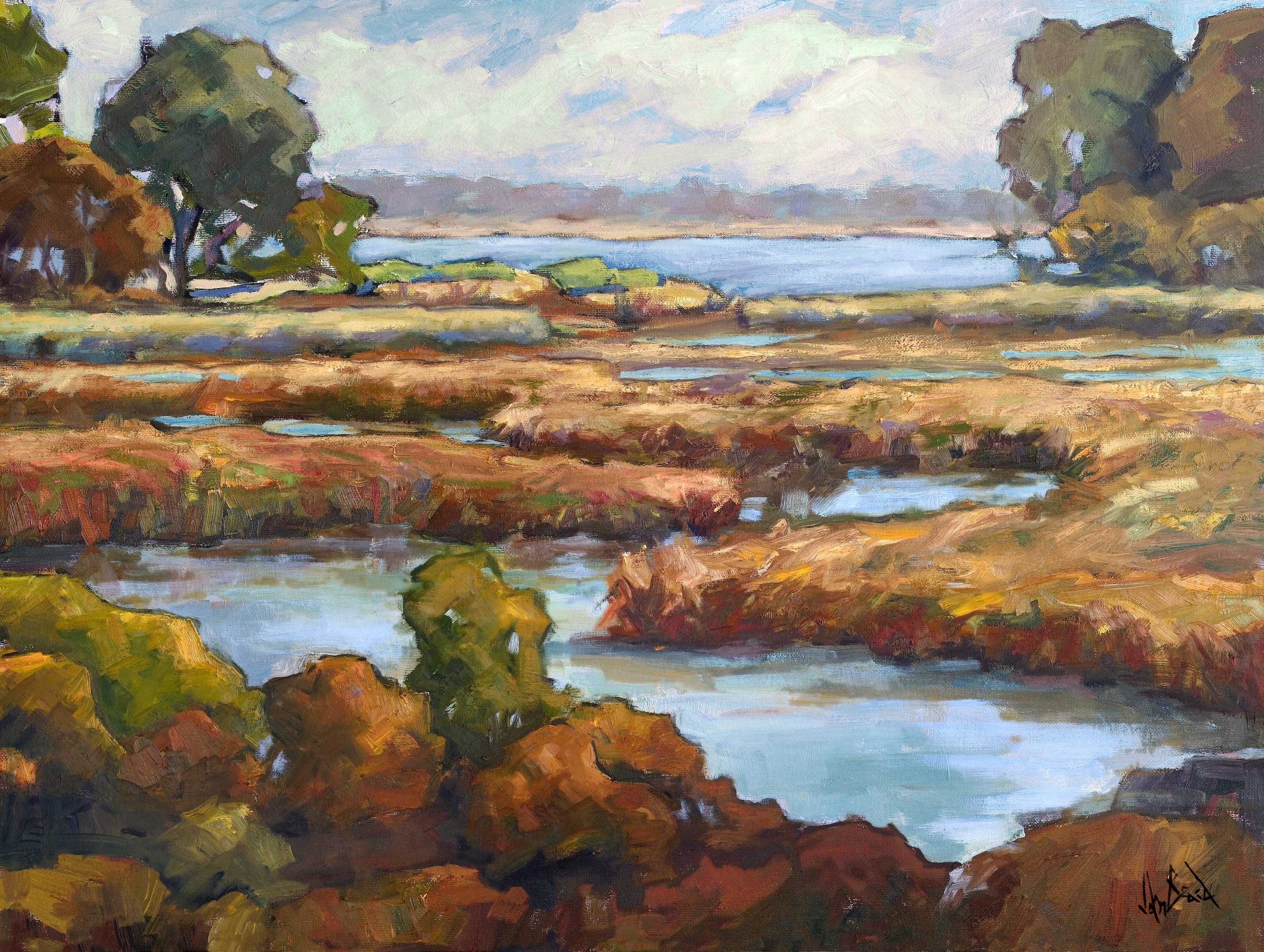 Spoonbill Marsh Artist Enhanced Canvas Print by John Beard Collection - main product image for Resin Society