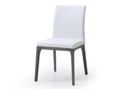 Stella Dining Chair Sets of 2 detail image - Resin Society