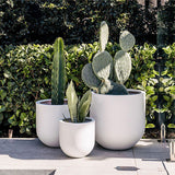 Three white cylindrical planters of varying sizes hold different cacti and succulents, set outdoors against dense green foliage and gray paving stones.