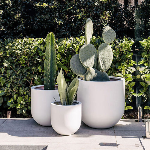 Straight Up Planter by The Balcony Garden US
