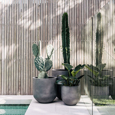 Straight Up Planter by The Balcony Garden US