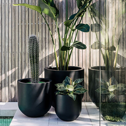 Straight Up Planter by The Balcony Garden US