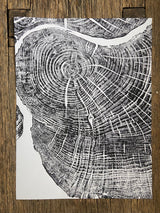 Black ink hand-pressed print of a sugar maple tree cross-section showing detailed growth rings and cracks on white paper, placed on a wooden surface.