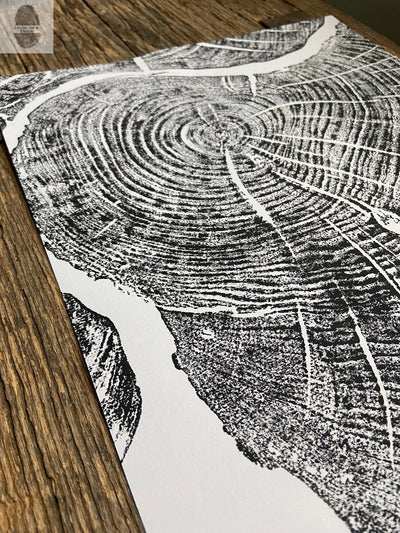 Sugar Maple, Cropped, Limited Edition 12x16 inches.
Hand pressed and signed.