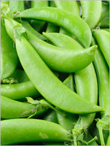 Close-up of fresh, bright green sugar snap pea pods with smooth, curved surfaces and attached stems.