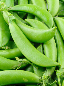 Close-up of fresh, bright green sugar snap pea pods with smooth, curved surfaces and attached stems.