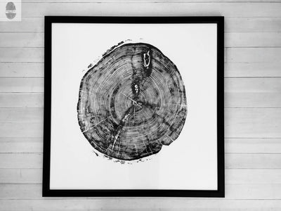 Sundance Canyon Utah White Pine 36x36 print showing detailed tree rings on white paper