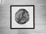 Black and white framed print of a wood cross-section showing detailed growth rings and natural cracks, centered on a white wooden plank wall.