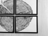 Four 12x16 inch Sundance Canyon Utah White Pine prints arranged in a grid on a neutral wall