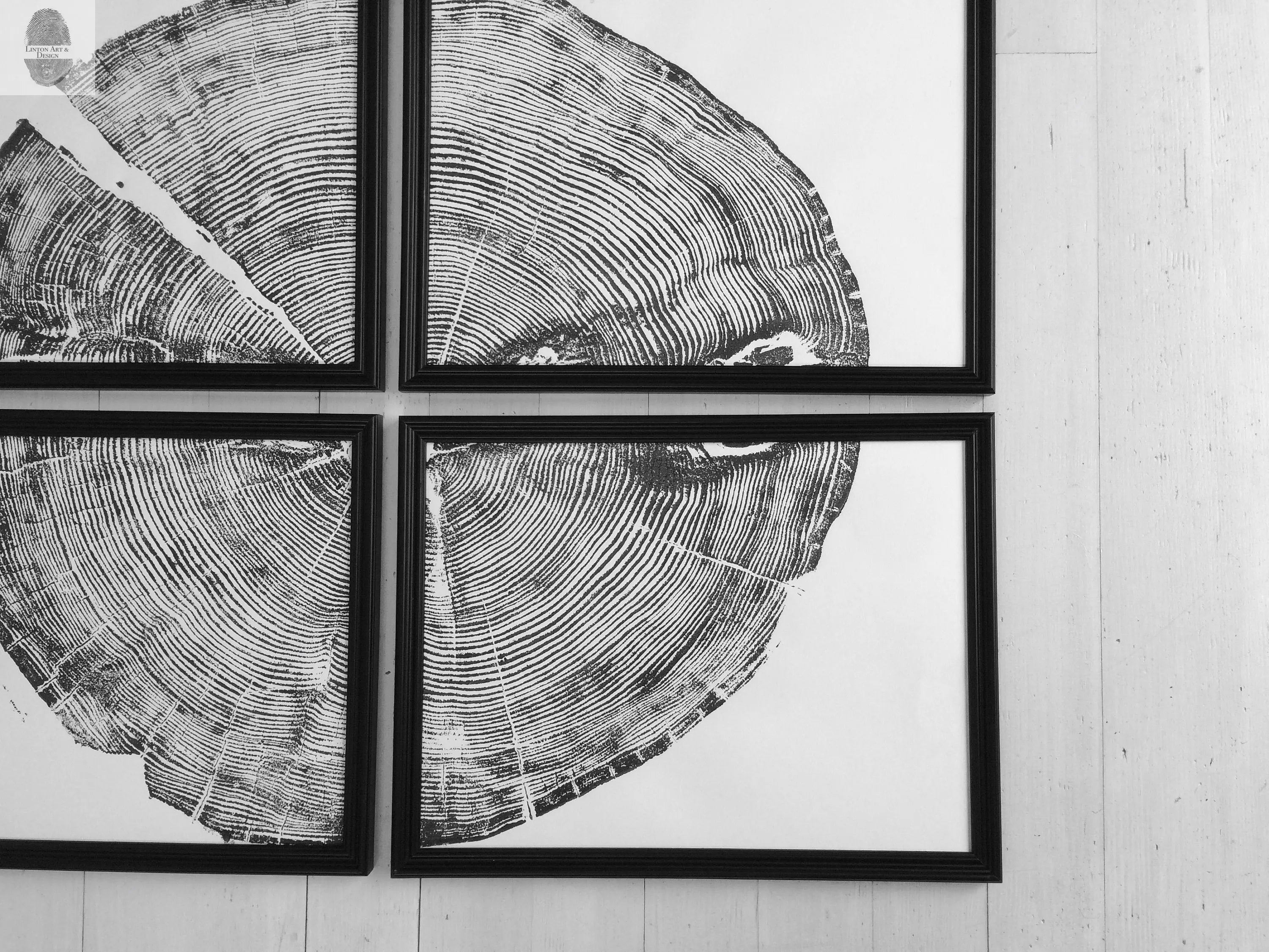 Four 12x16 inch Sundance Canyon Utah White Pine prints arranged in a grid on a neutral wall
