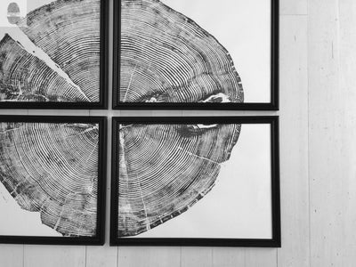 Four 12x16 inch Sundance Canyon Utah White Pine prints arranged in a grid on a neutral wall