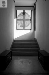 Black and white photo of a stairwell with four framed translucent wood cross-section prints arranged in a grid on a window, sunlight casting shadows on stairs and floor.