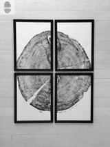 Four black-framed prints arranged in a 2x2 grid forming a detailed black and white cross-section of a tree trunk with visible growth rings and cracks.