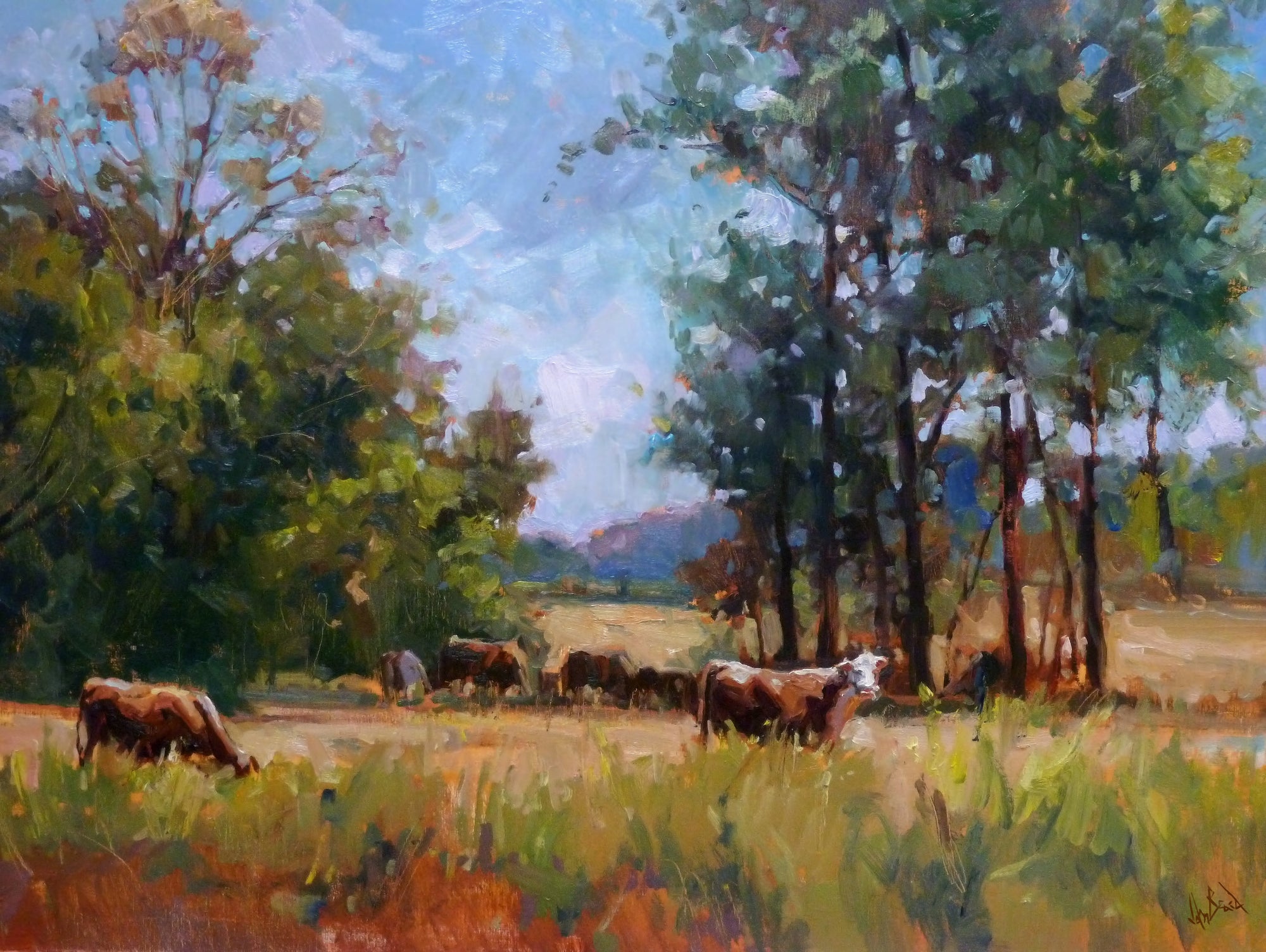 Sunny Pastures Artist Enhanced Canvas Print by John Beard Collection - main product image for Resin Society