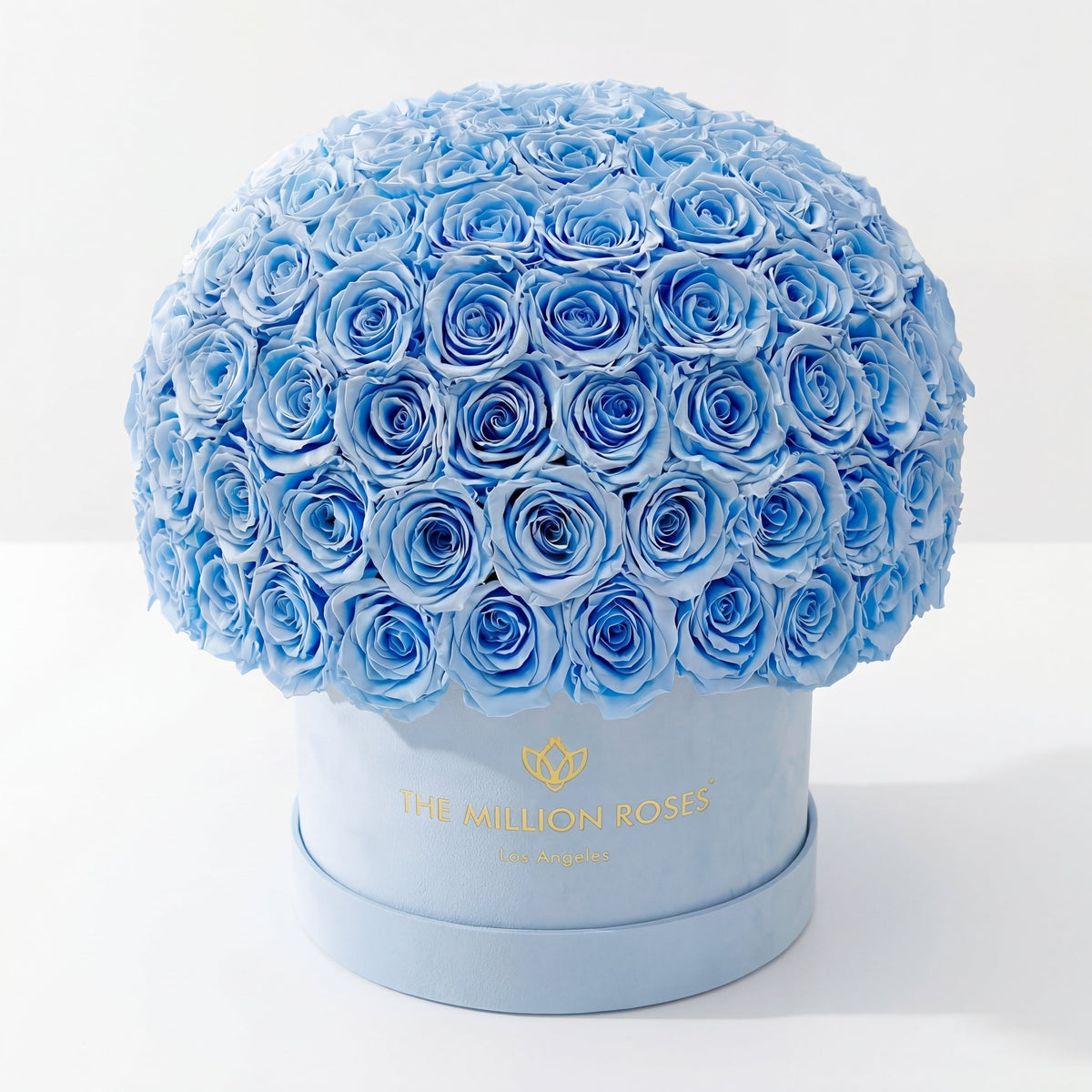 Supreme Light Blue Suede Superdome Box by The Million Roses - main product image for Resin Society