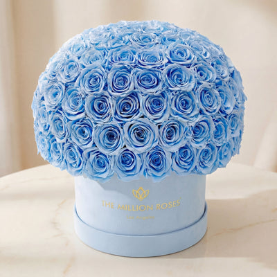 Supreme Light Blue Suede Superdome Box by The Million Roses - product image 2 for Resin Society