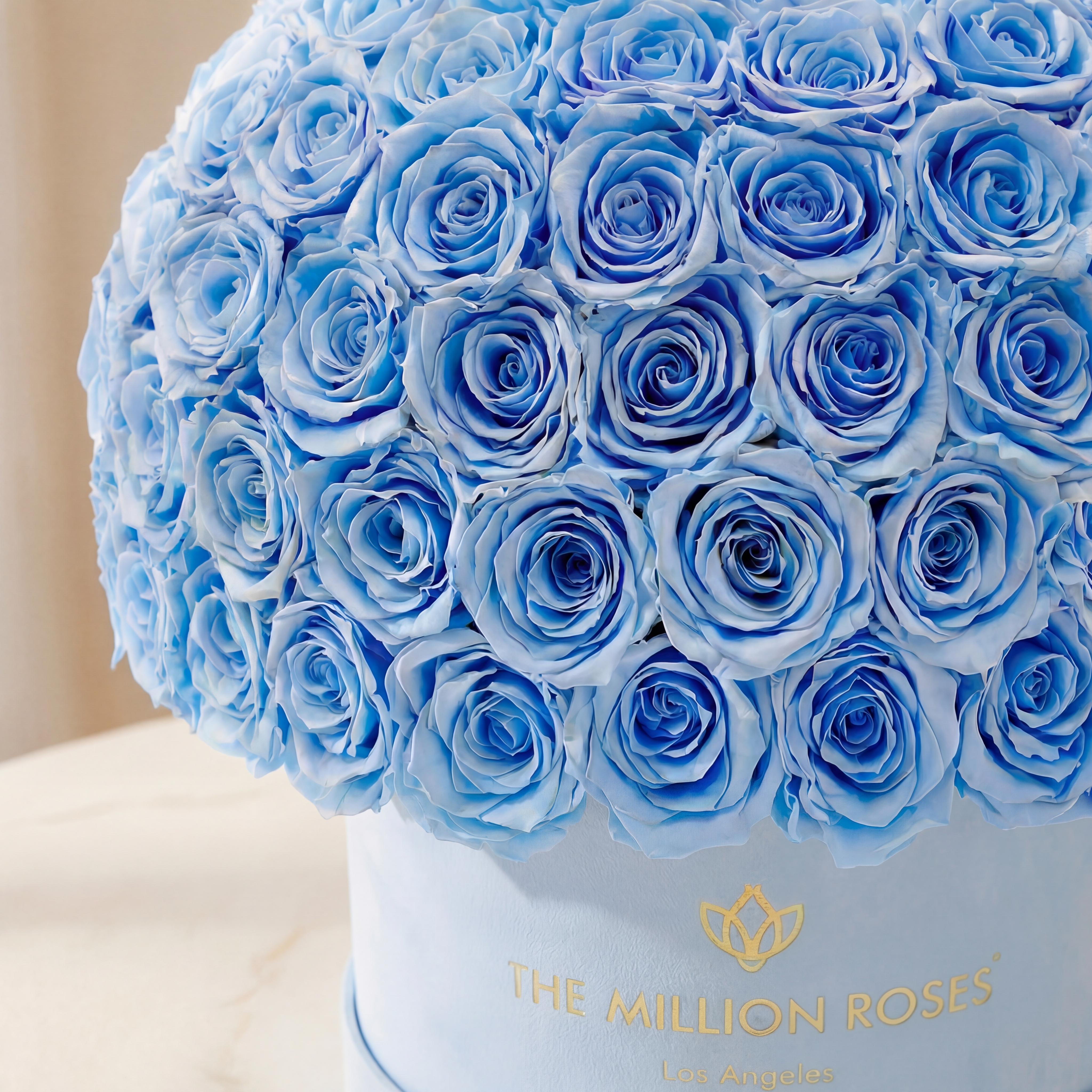 Supreme Light Blue Suede Superdome Box by The Million Roses - product image 3 for Resin Society