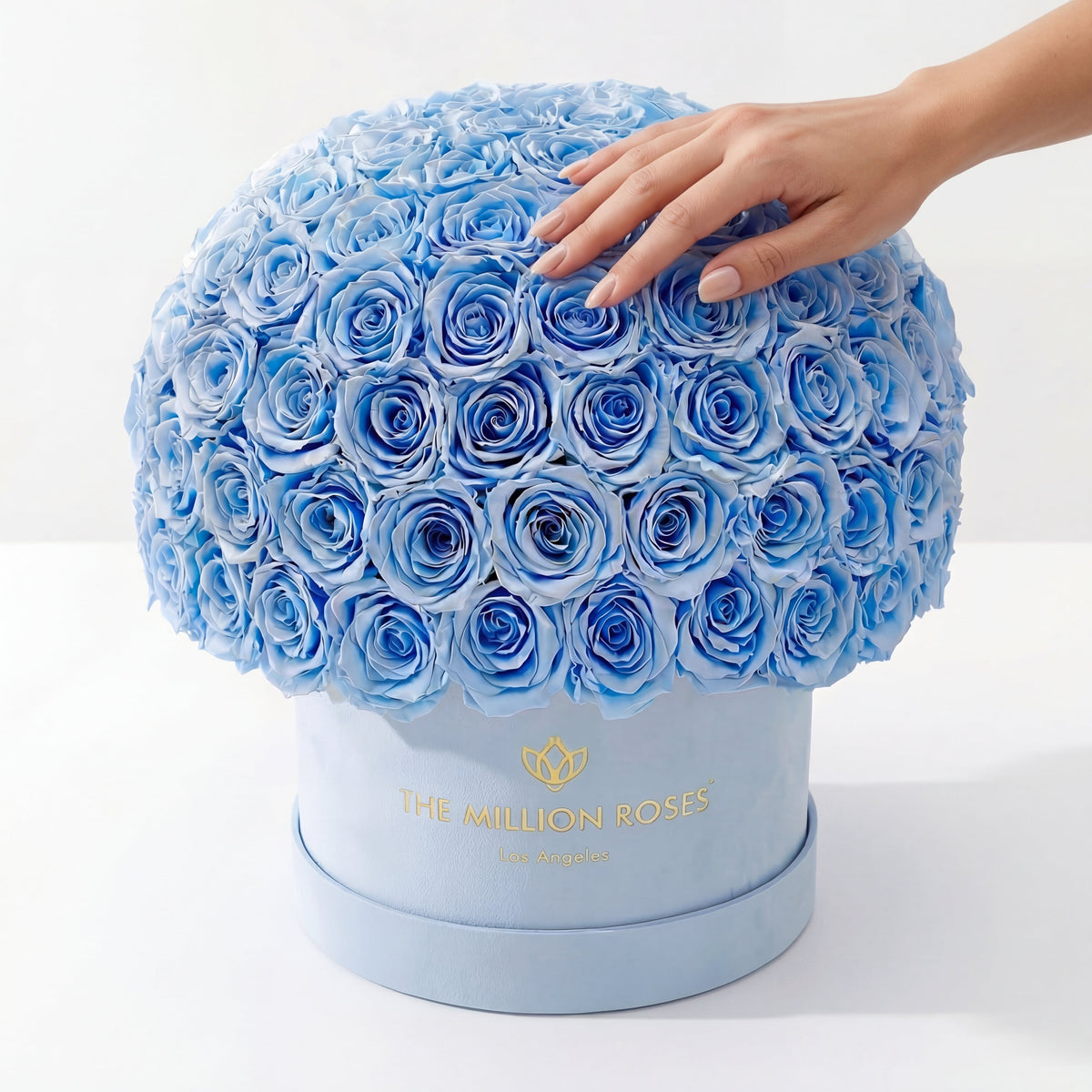 Supreme Light Blue Suede Superdome Box by The Million Roses - product image 4 for Resin Society