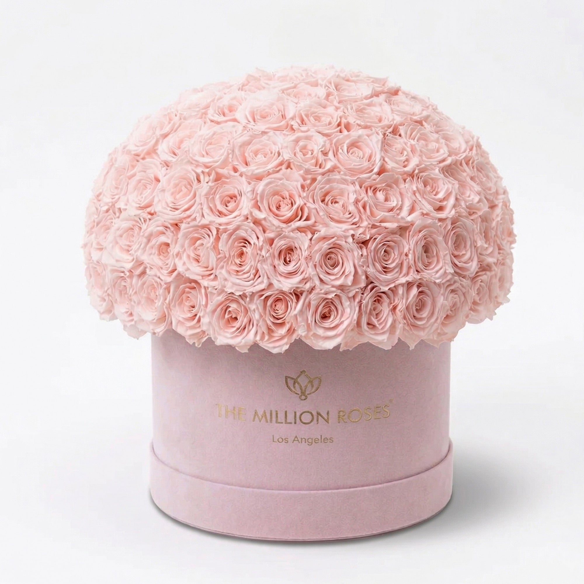 Supreme Light Pink Suede Superdome Box by The Million Roses - main product image for Resin Society