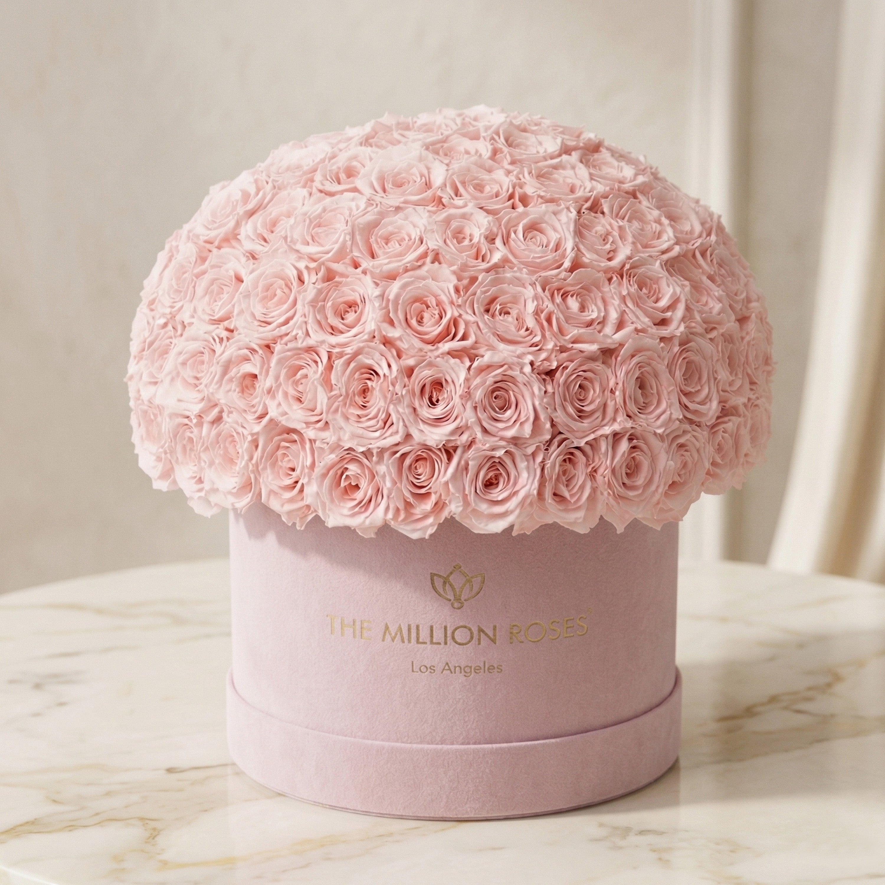 Supreme Light Pink Suede Superdome Box by The Million Roses - product image 2 for Resin Society