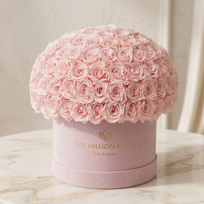 Supreme Light Pink Suede Superdome Box by The Million Roses - product image 2 for Resin Society