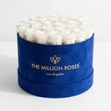 Supreme Royal Blue Suede Box featuring 26-28 preserved white roses arranged inside