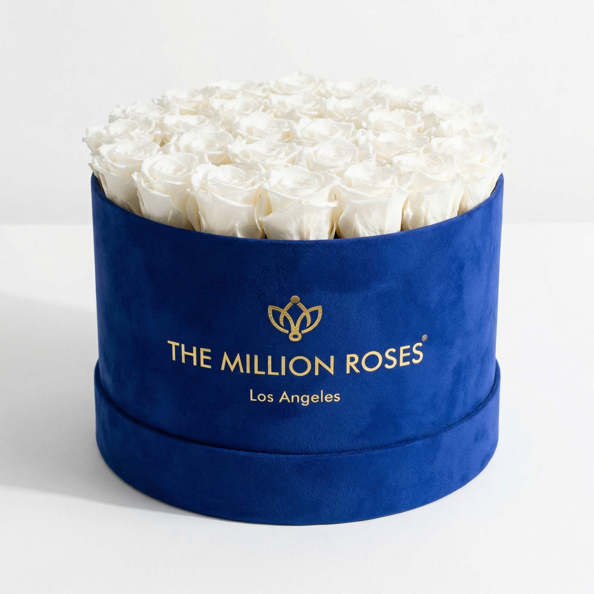 Supreme Royal Blue Suede Box featuring 26-28 preserved white roses arranged inside