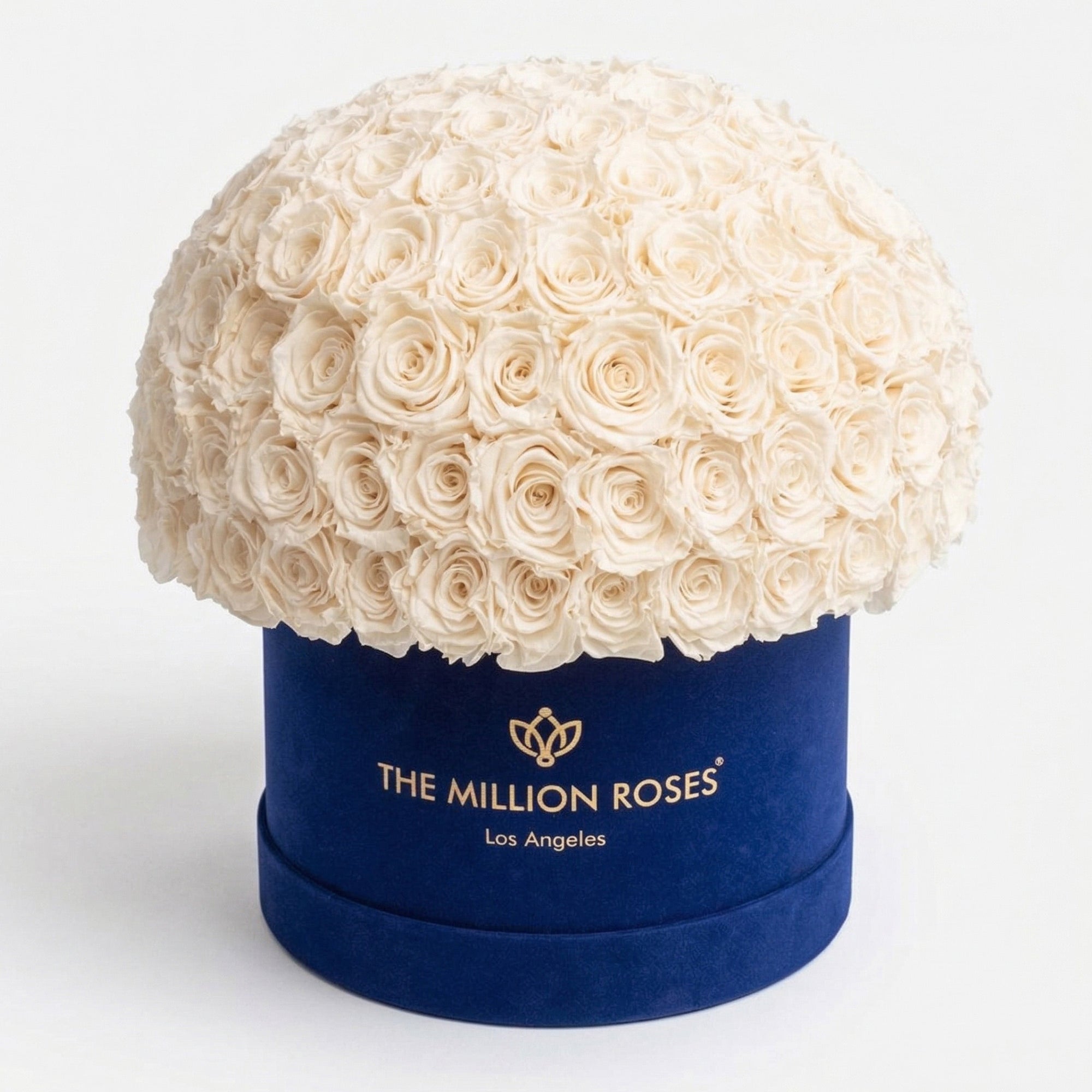 Supreme Royal Blue Suede Superdome Box by The Million Roses - main product image for Resin Society
