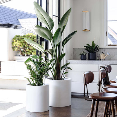 Choob Planter by The Balcony Garden US
