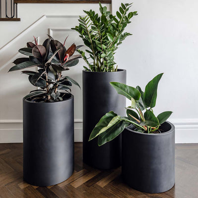 Loob Planter by The Balcony Garden US