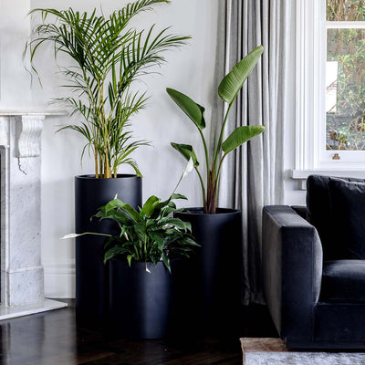 Loob Planter by The Balcony Garden US
