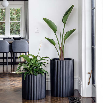 Ribbed Loob Planter by The Balcony Garden US