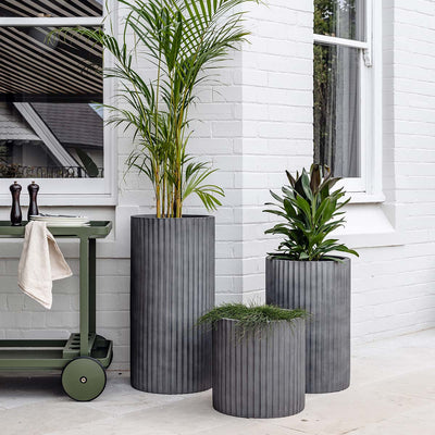 Ribbed Loob Planter by The Balcony Garden US