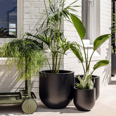 Straight Up Planter by The Balcony Garden US