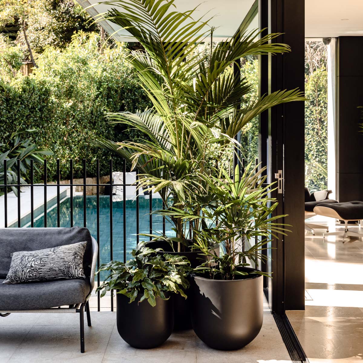 Straight Up Planter by The Balcony Garden US