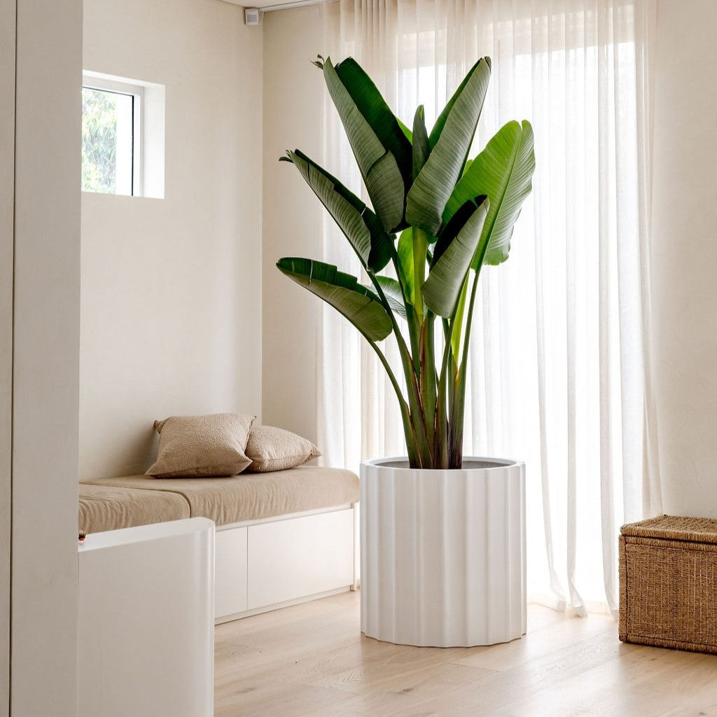 Ripple Planter by The Balcony Garden US