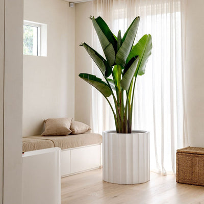 Ripple Planter by The Balcony Garden US