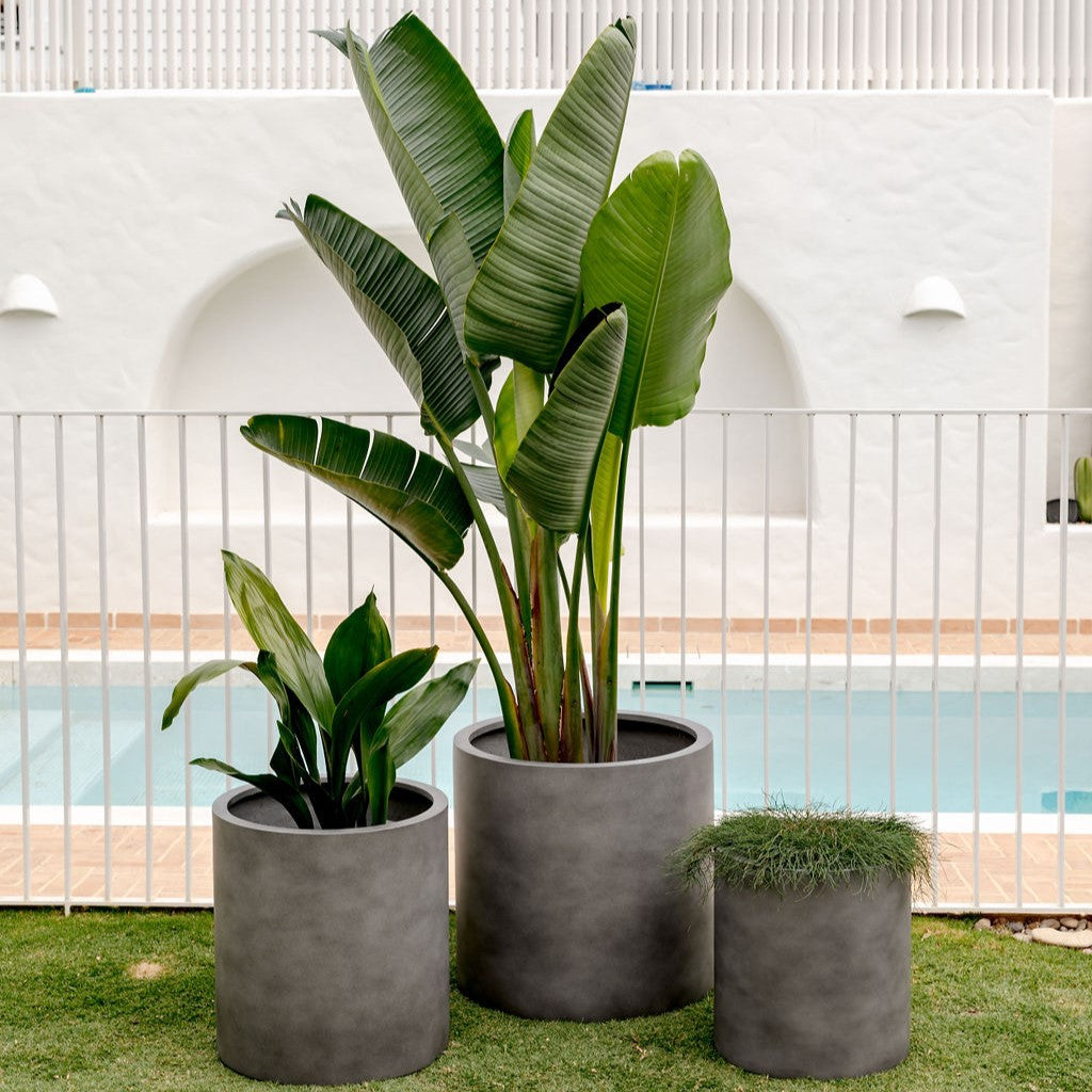 Choob Planter by The Balcony Garden US