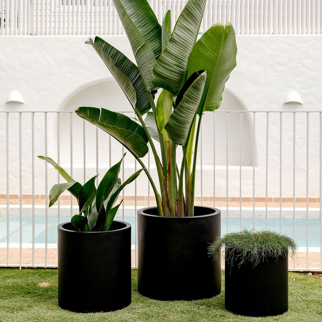 Choob Planter by The Balcony Garden US