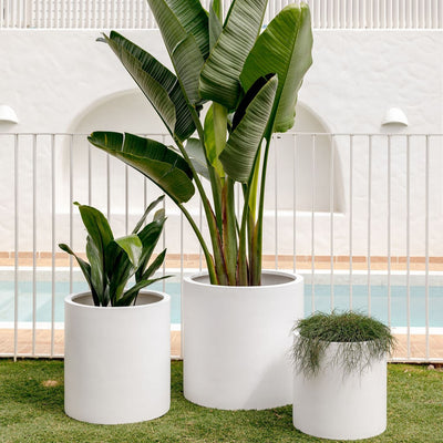 Choob Planter by The Balcony Garden US