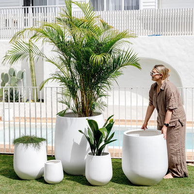 JITT Planter by The Balcony Garden US