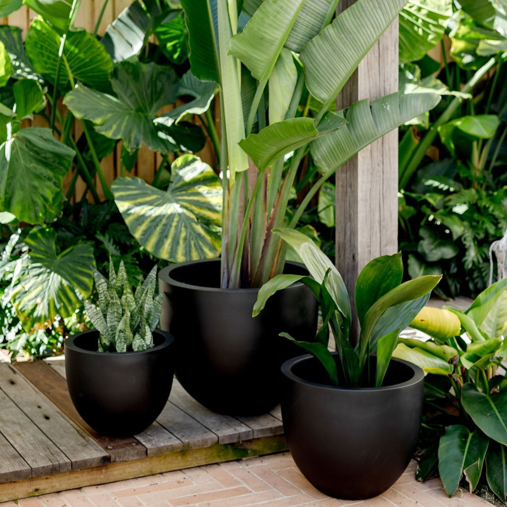 Tub Planter by The Balcony Garden US