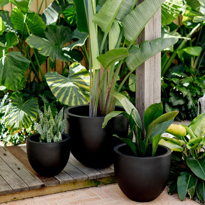 Tub Planter by The Balcony Garden US